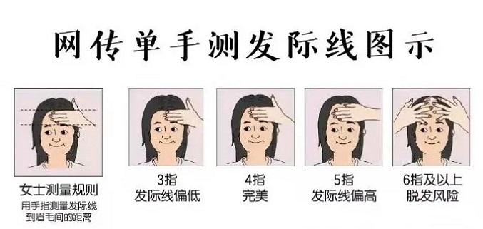 发际线高低的科学标准的判断方式？