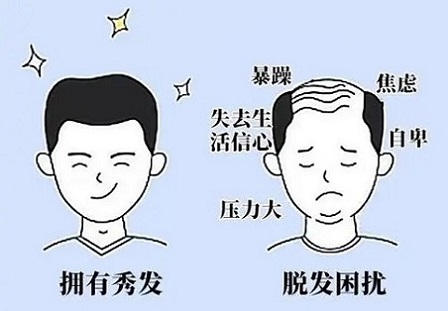 重庆纹发工作室祝福：在正月初七回到工作岗位的各位发友