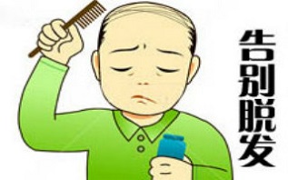 繁茂的夏季，为什么仍然逃脱不了脱发的厄运？