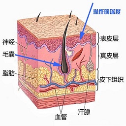 不同发友对于纹发的价格有不同的看法