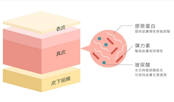 胶原蛋白可以改善头发，脱发是否值得一试？