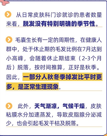 脱发 希望 头发 内外 兼治 脱发 希望 头发 内外 兼治