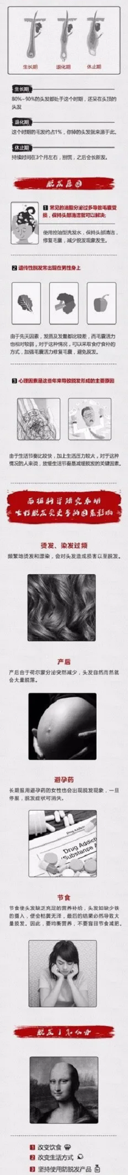 头发生发原理和脱发的因素