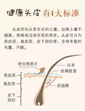 头发不健康的表现多样，与多种因素有关