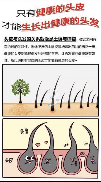 如何从 “核心因素” 详细解析脱发原因？