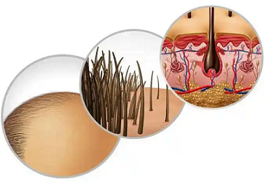 头发的光泽是怎么来的？